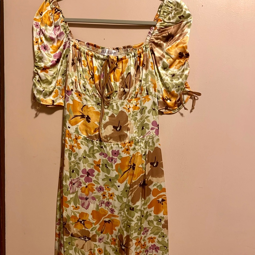 NWT Ellejay dress